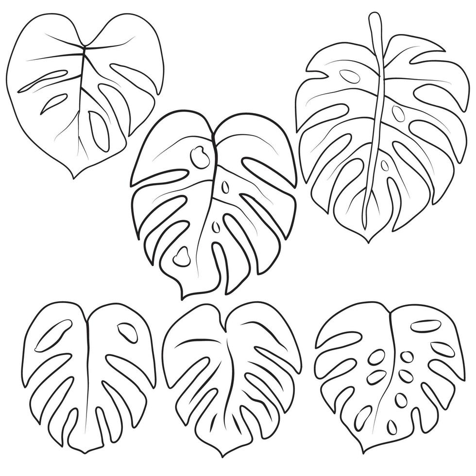 ensemble de feuilles de palmier tropical isolé sur fond blanc vecteur