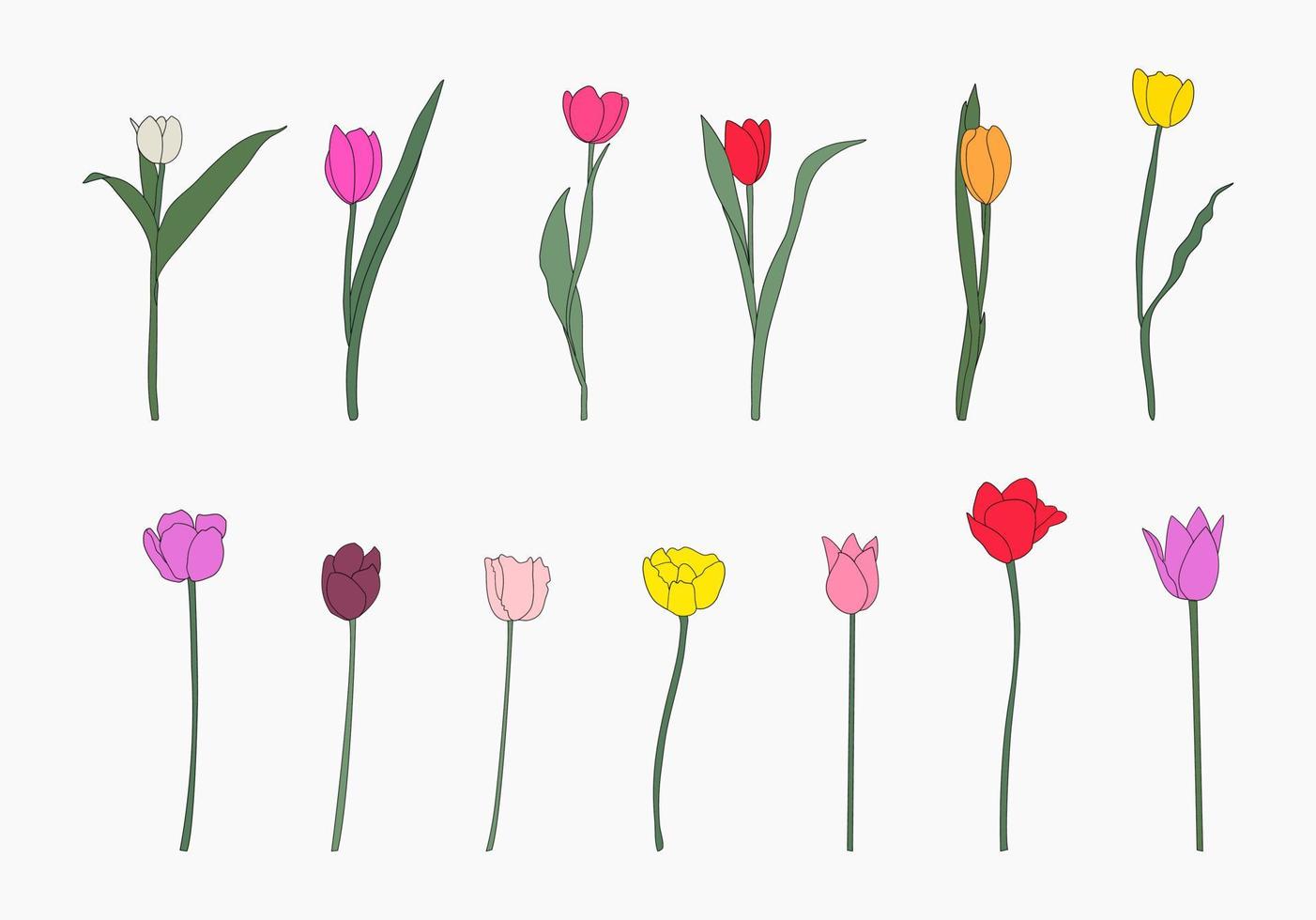 ensemble de tulipes dessinées à la main. vecteur. vecteur