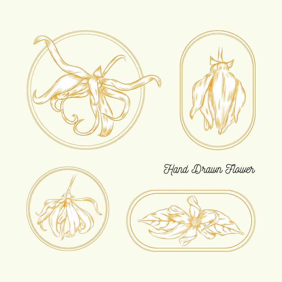 ensemble de fleurs d'ylang ylang dessinés à la main sur le cadre illustration vectorielle dessinés à la main vecteur