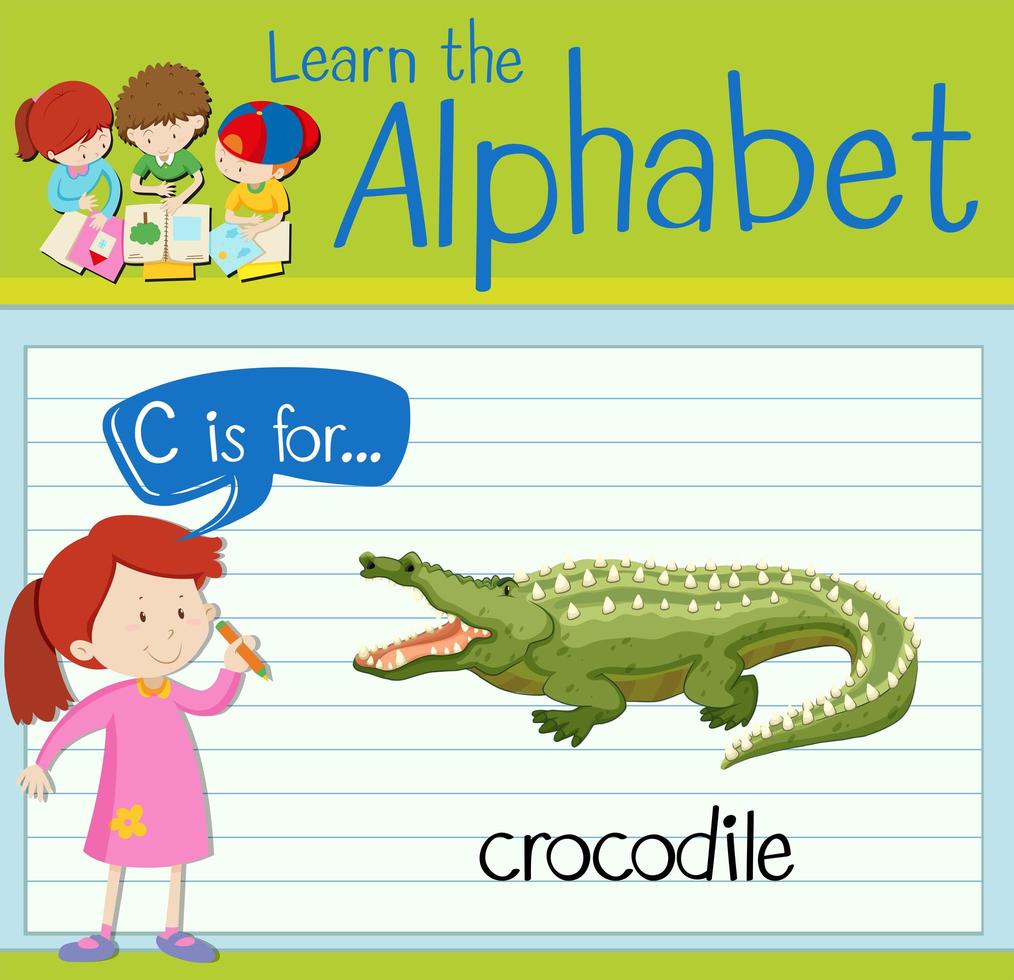 flashcard lettre c est pour le crocodile vecteur