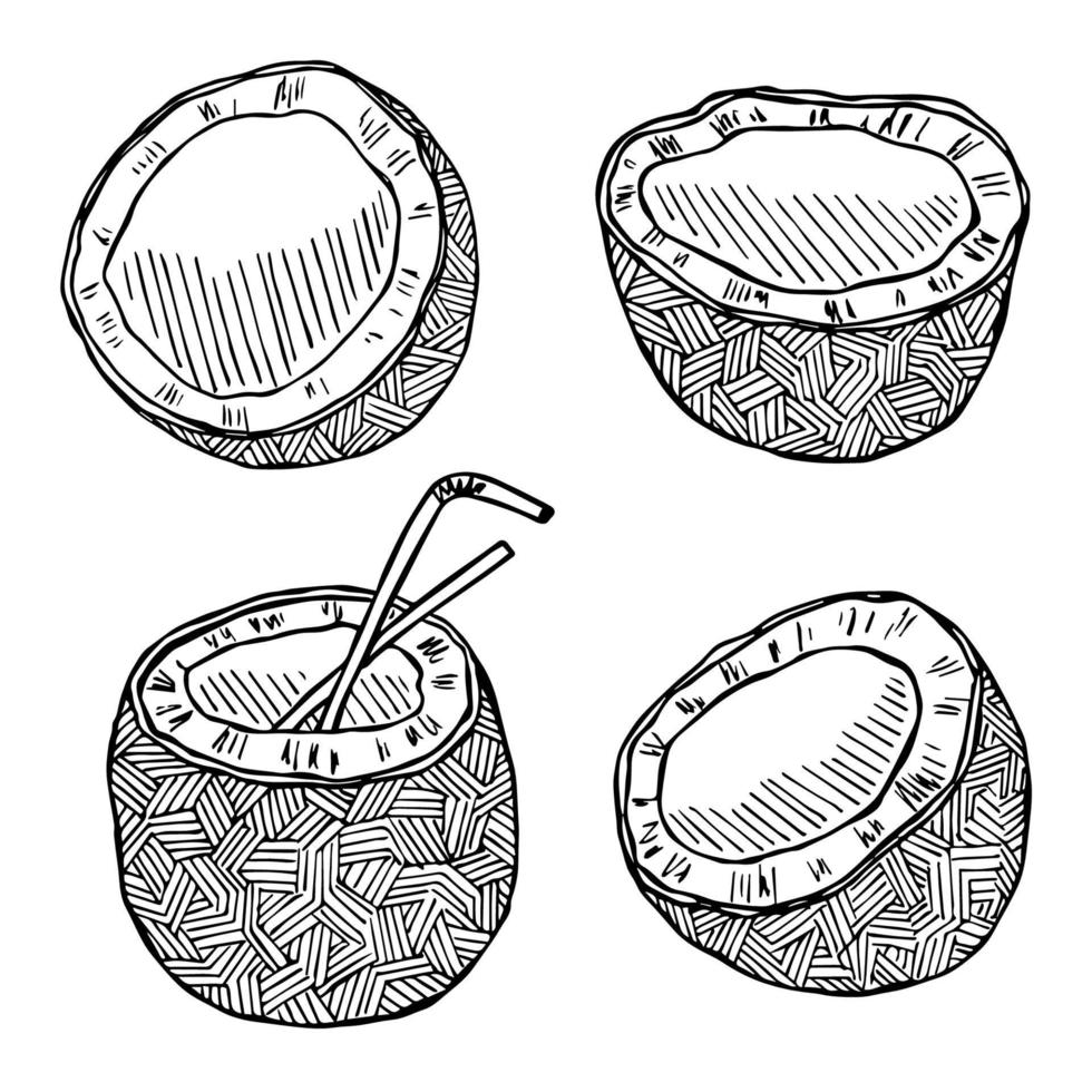 ensemble de cliparts de noix de coco. icône de noix dessinée à la main. illustration tropicale. pour l'impression, le web, le design, la décoration vecteur