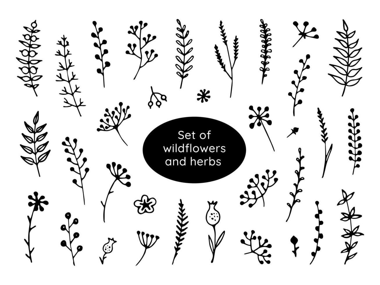 doodle fleur dessiné à la main. illustration botanique de vecteur isolée sur fond blanc.