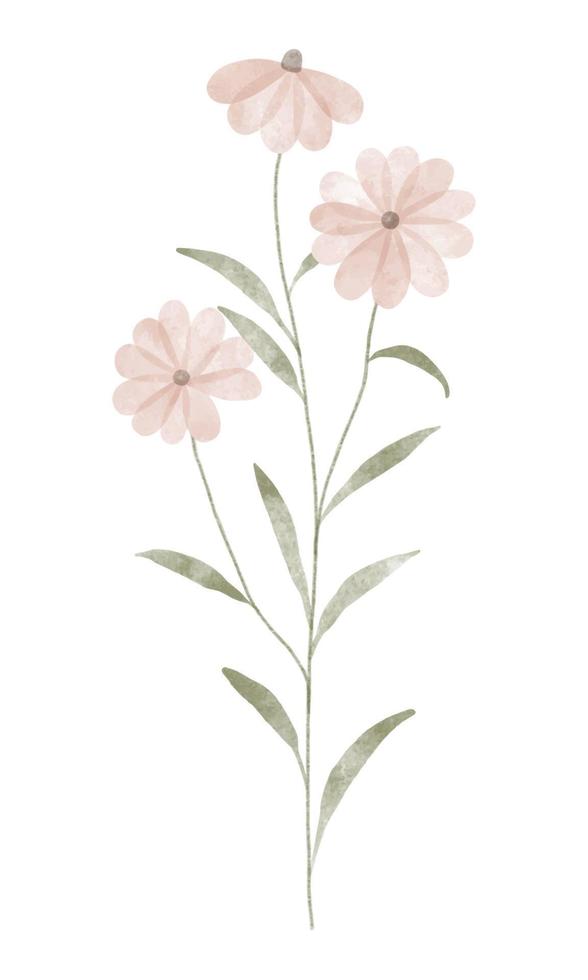 fleur tendance aquarelle. illustration vectorielle pour le web, l'application et l'impression. fleurs de marguerites isolées floristiques de forme féminine élégante. jardin, élément floral botanique et minimaliste. vecteur