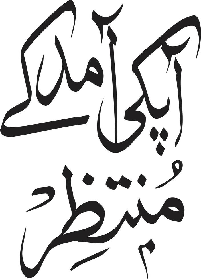 clé ap clé amaed muntazer calligraphie islamique ourdou vecteur gratuit