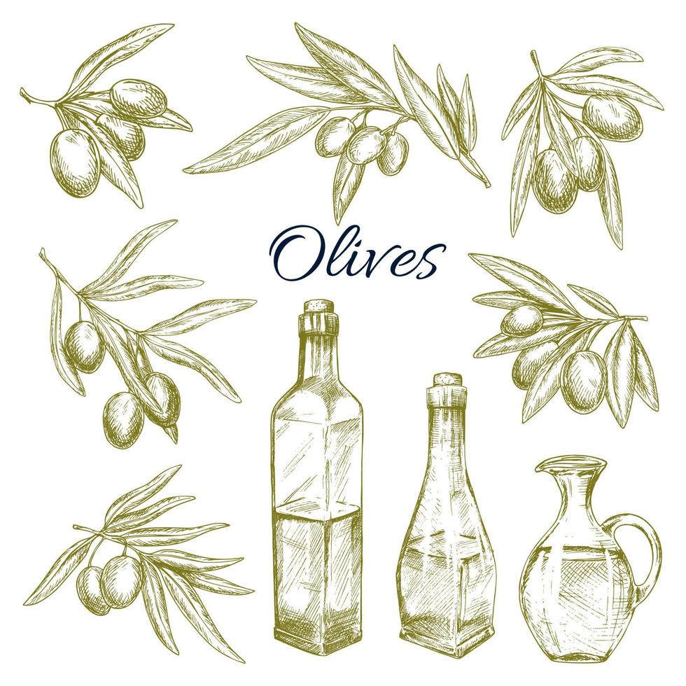 olives, croquis vectoriel de pichets de bouteilles d'huile d'olive