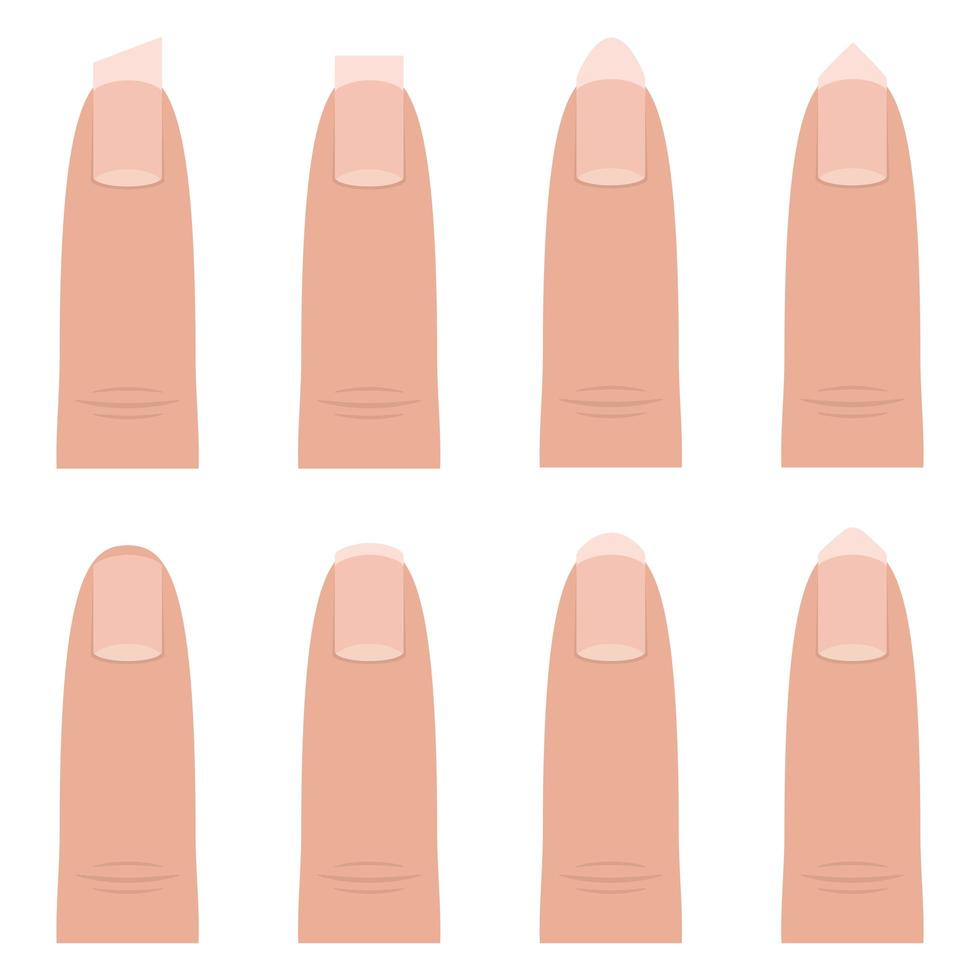 formes d'ongles féminins vecteur