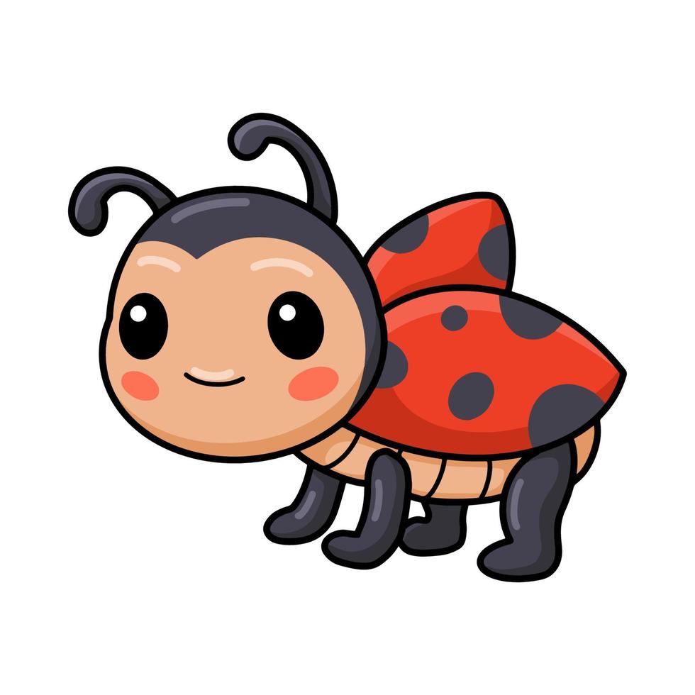 mignon petit dessin animé de coccinelle posant vecteur