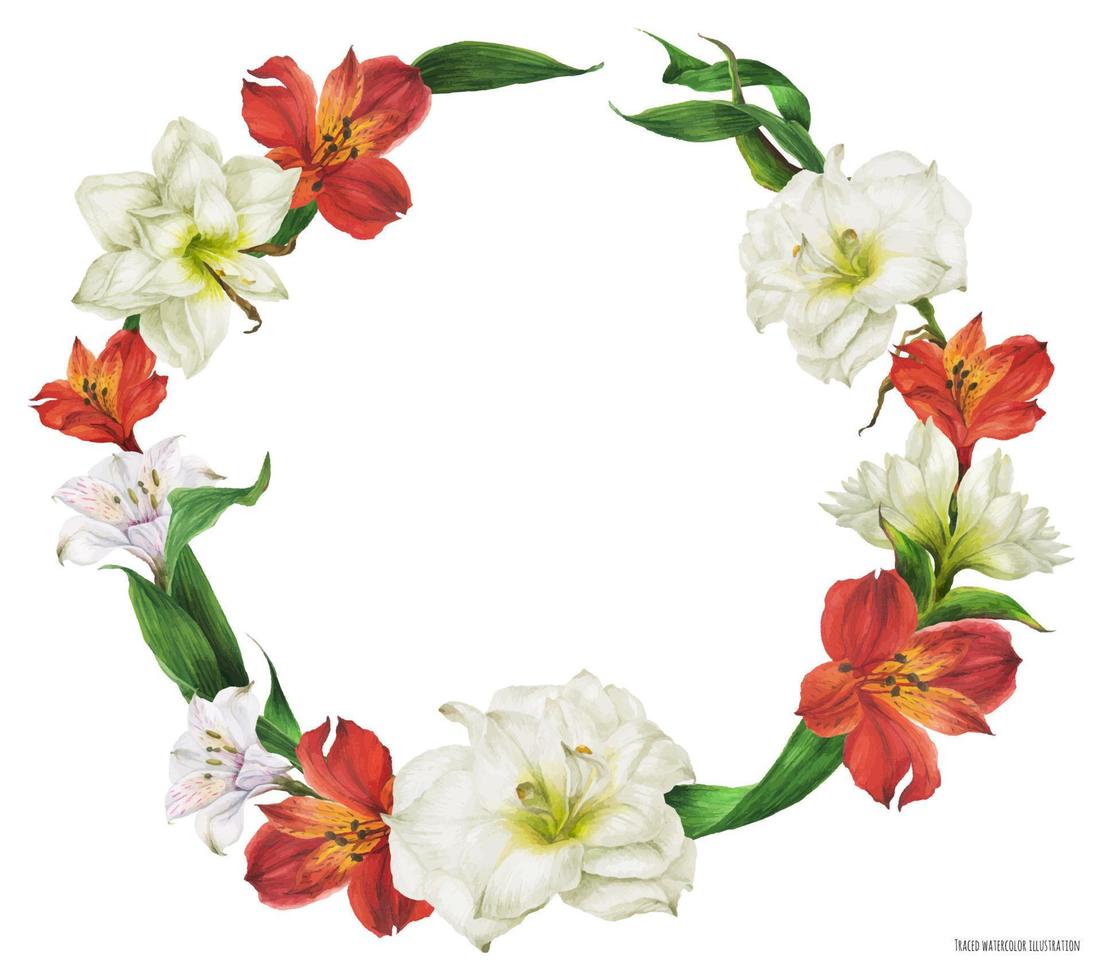 couronne d'aquarelle florale avec des fleurs de lys rouges et blanches vecteur