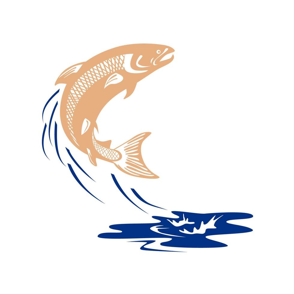 saumon atlantique, poisson, sauter, eau, isolé vecteur