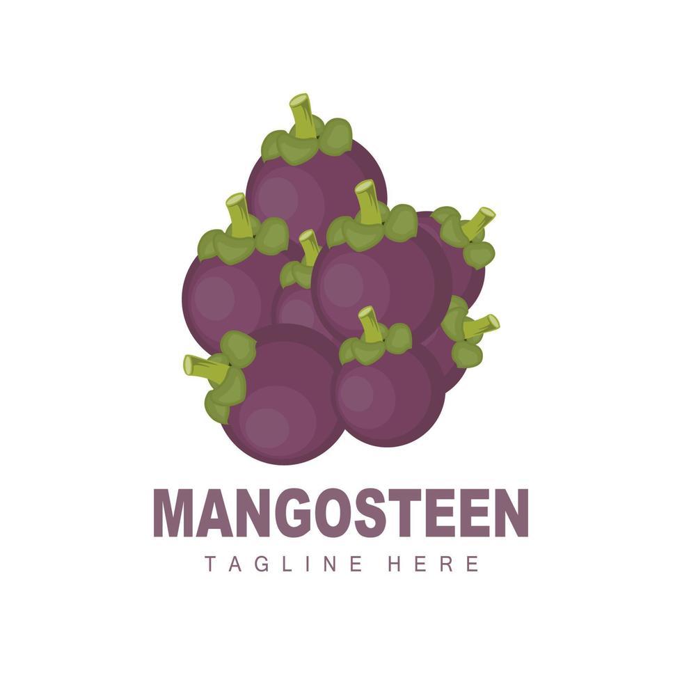 création de logo de mangoustan, vecteur de fruits frais pour la santé de la peau, illustration de marque de magasin de fruits et médecine naturelle de la peau