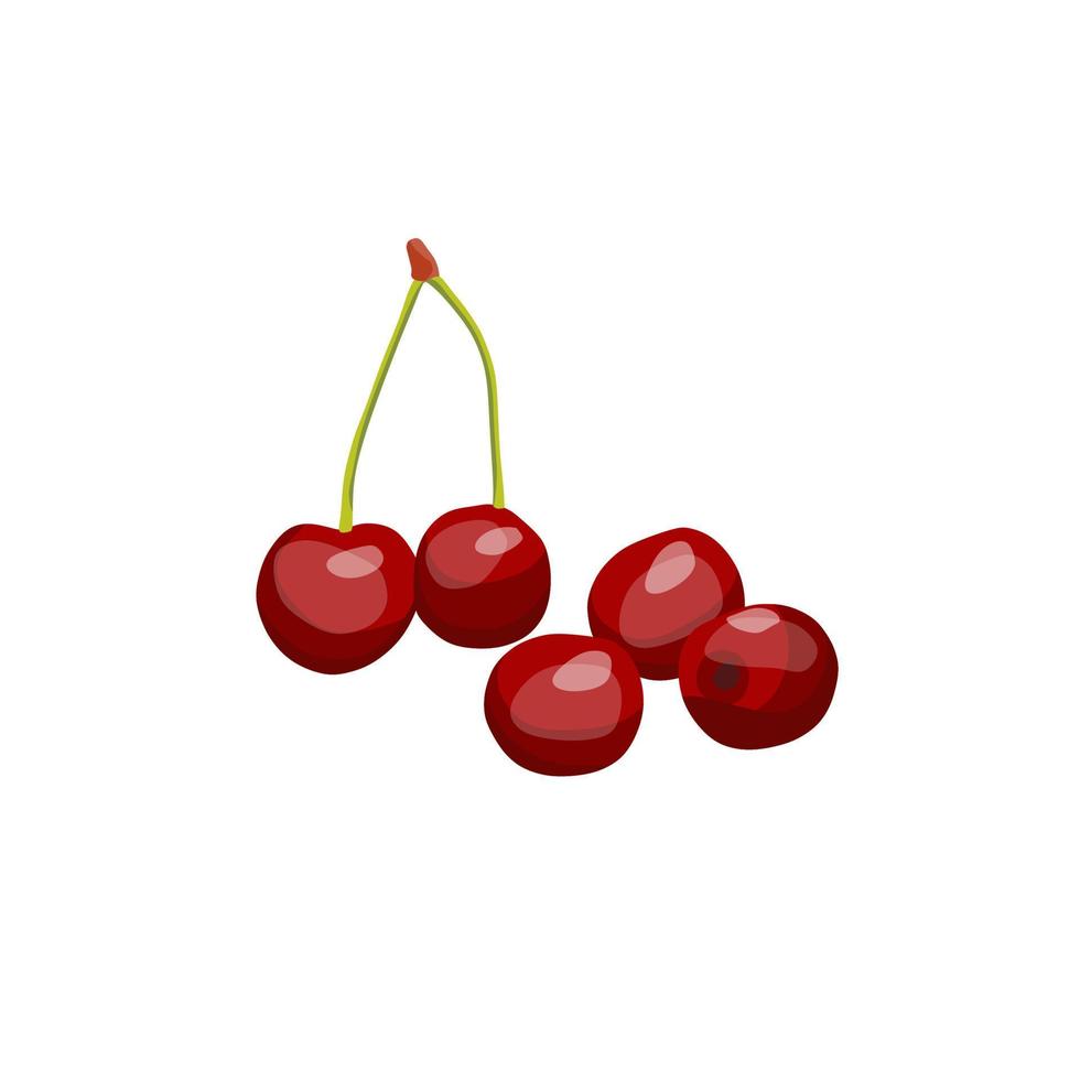 image vectorielle de cerise berry, qui est riche en vitamines a, b et c. vecteur