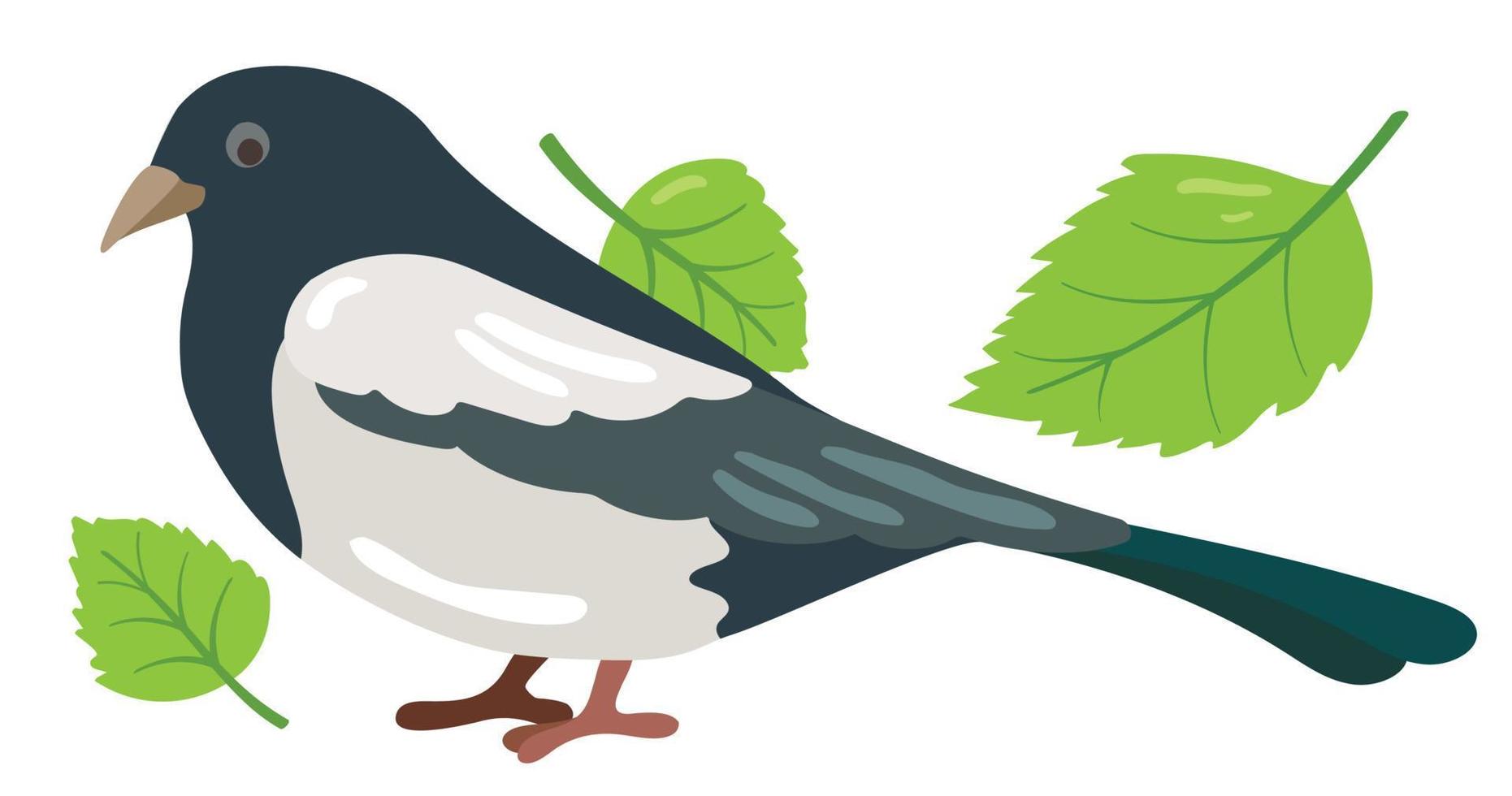 oiseau de forêt pie. illustration vectorielle dessinés à la main. adapté au site Web, aux autocollants, aux cartes-cadeaux, aux produits pour enfants. vecteur