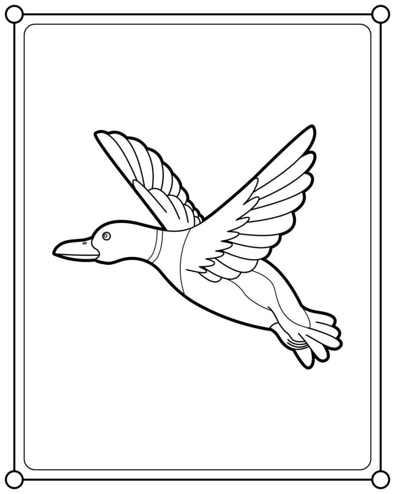 canard colvert volant adapté à l'illustration vectorielle de la page de coloriage pour enfants vecteur
