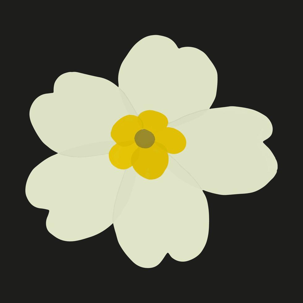 icône de fleur de primevère blanche isolée sur fond noir. autocollant gouache de fleur avec centre jaune vecteur