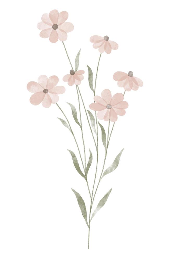 fleur tendance aquarelle. illustration vectorielle pour le web, l'application et l'impression. fleurs de marguerites isolées floristiques de forme féminine élégante. jardin, élément floral botanique et minimaliste. vecteur