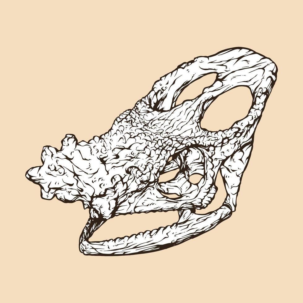 illustration vectorielle de tête de crâne de caméléon de parson vecteur