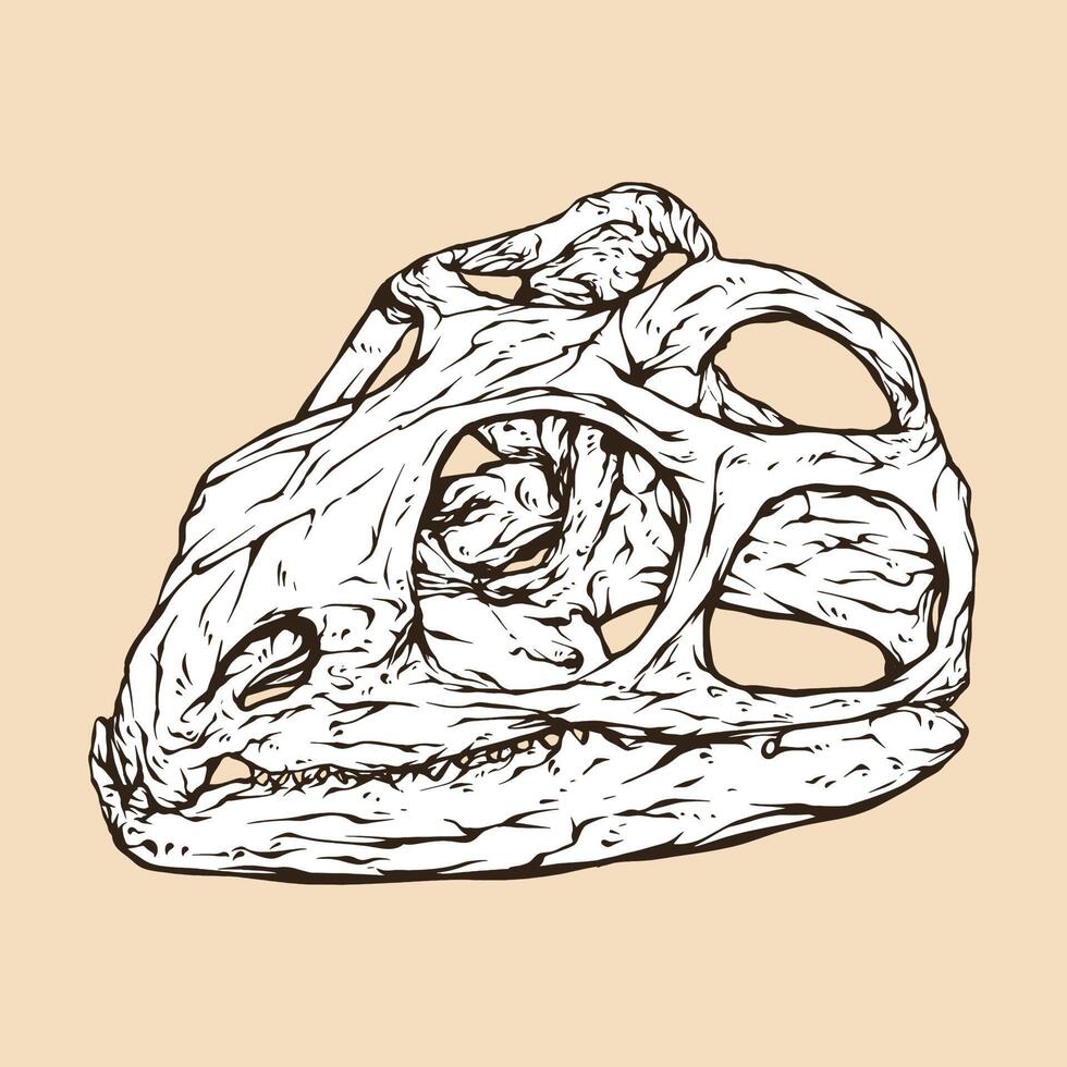 illustration vectorielle tête de crâne tuatara vecteur