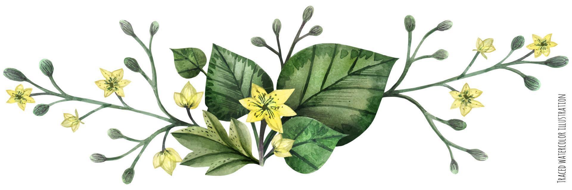 vignette aquarelle de plantes sauvages vecteur