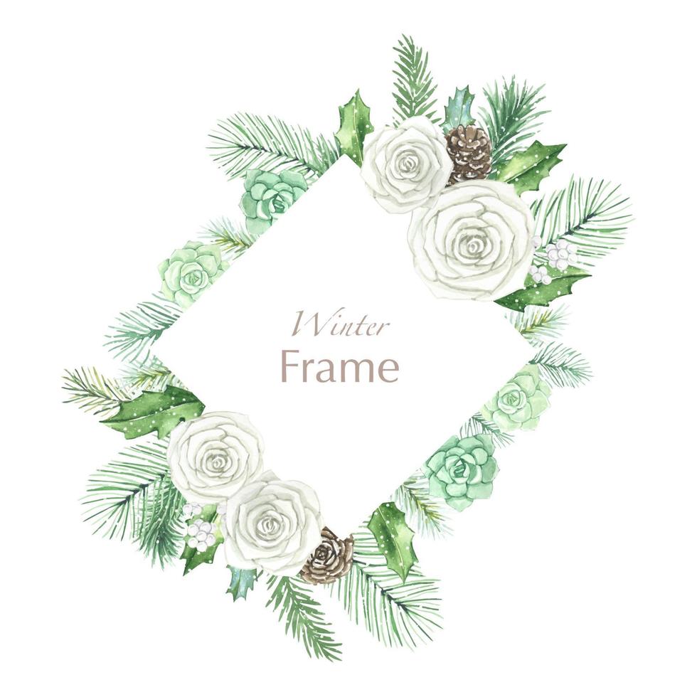 cadre floral d'hiver avec roses blanches, plantes succulentes, branches d'épinette vecteur