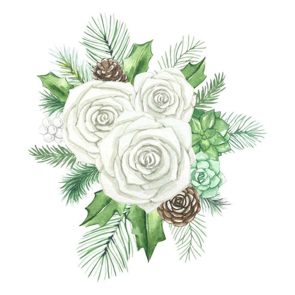 composition avec roses blanches, plantes succulentes, branches d'épinette, aquarelle vecteur