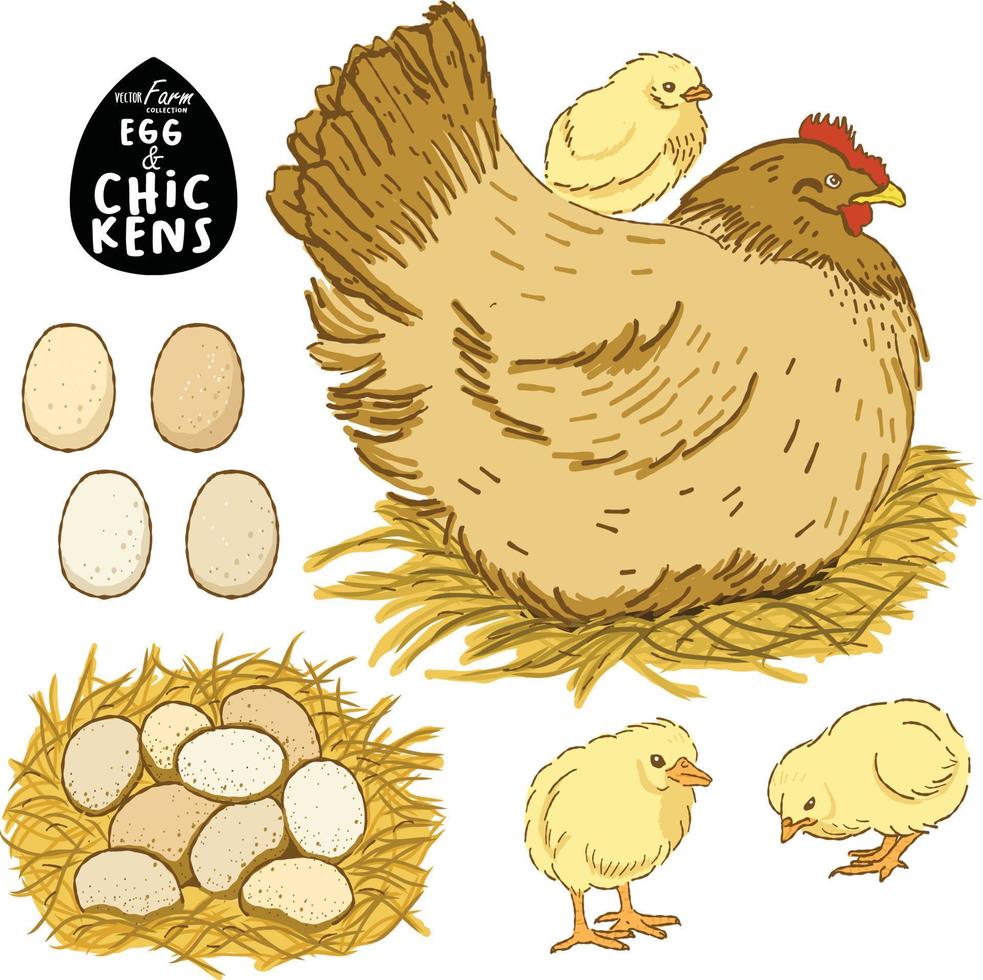 poulets et oeuf illustration vecteur dessiné à la main