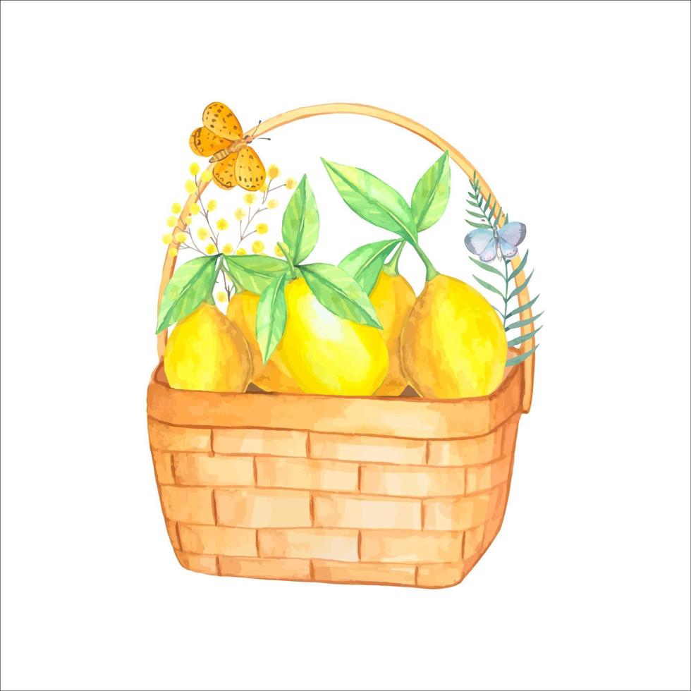 panier avec des citrons, illustration aquarelle vecteur