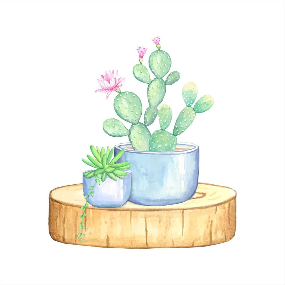 composition de cactus et succulentes en illustration aquarelle de pots vecteur
