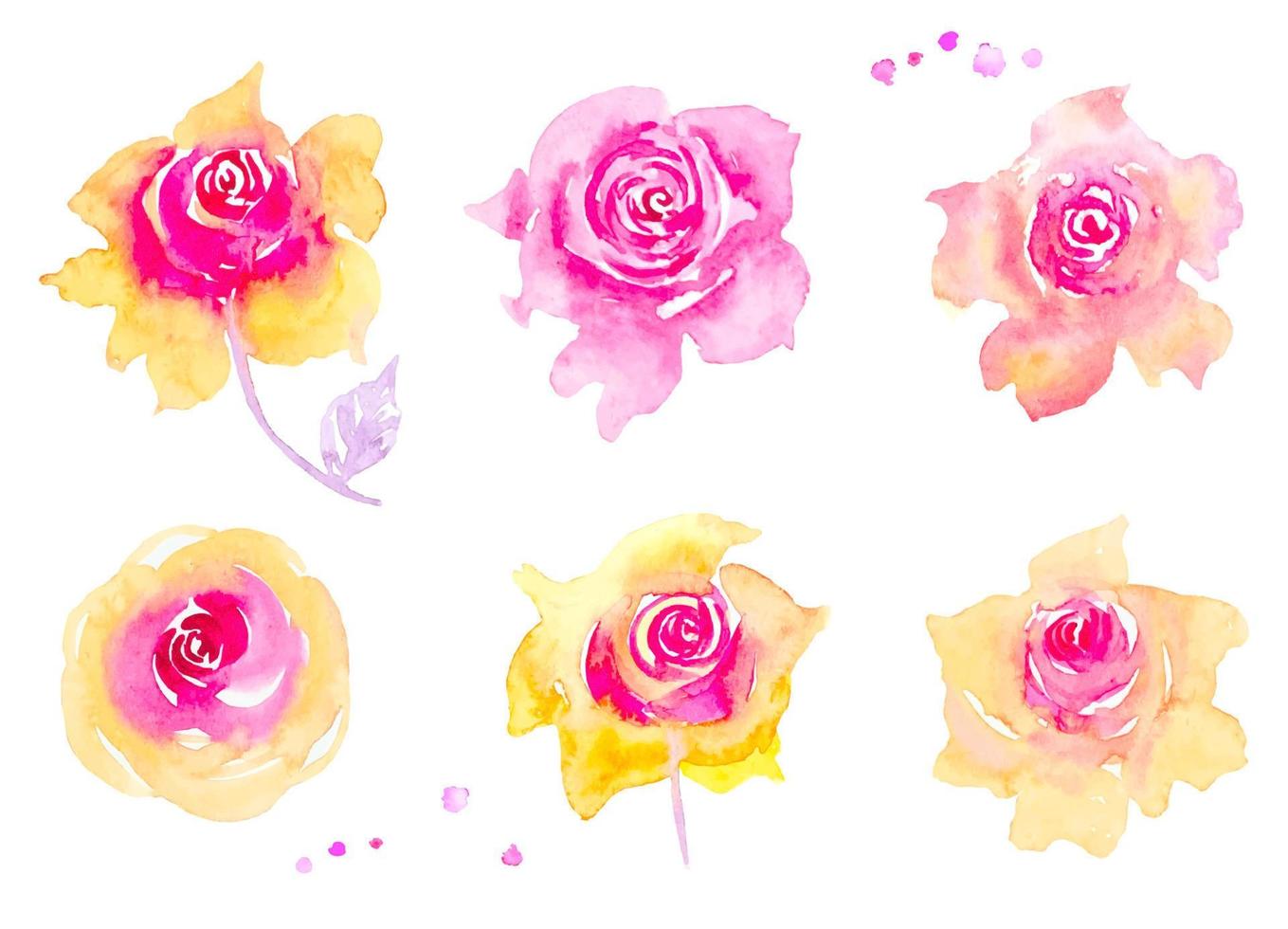 collection de fleurs de rose de jardin, rose aquarelle vecteur