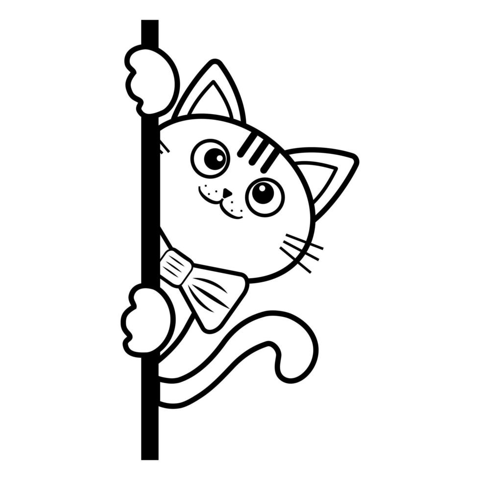 aperçu de la page de coloriage du chat moelleux de dessin animé. livre de coloriage pour les enfants vecteur