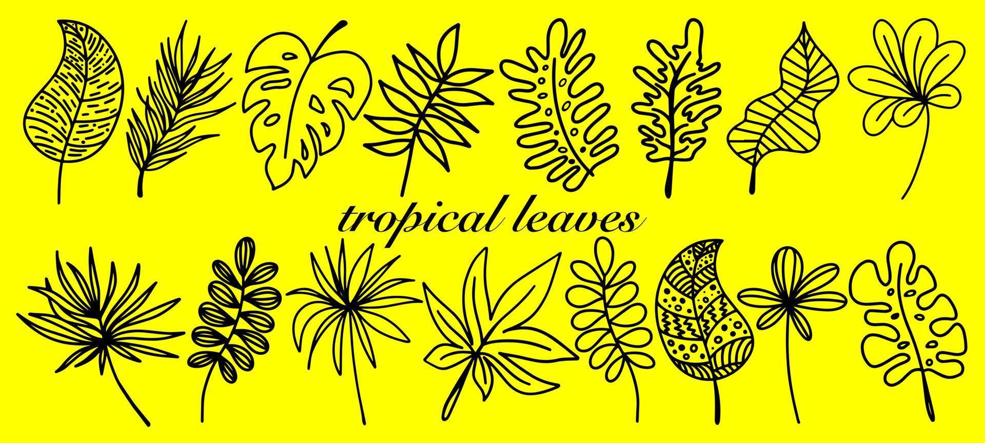 feuilles tropicales vectorielles dans un style doodle isolé sur fond jaune. coloriage amusant et illustration mignonne pour le design saisonnier, le textile, la décoration de la salle de jeux pour enfants ou la carte de voeux. art dessiné à la main. vecteur