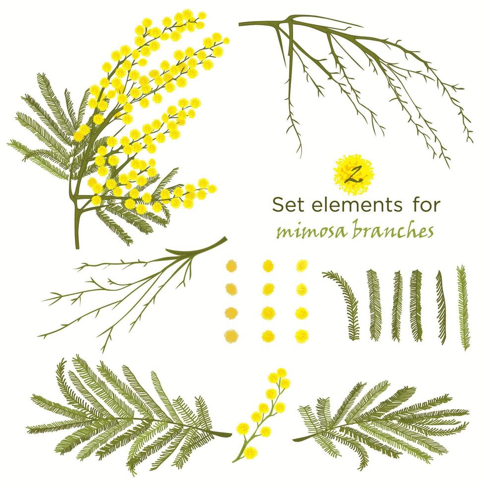 ensemble d'éléments dessinés à la main pour les branches de mimosa vecteur