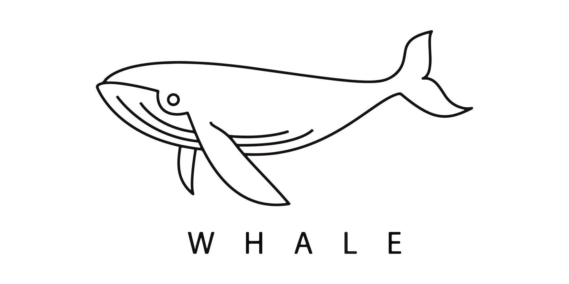 contour de baleine pour la conception de logo vecteur