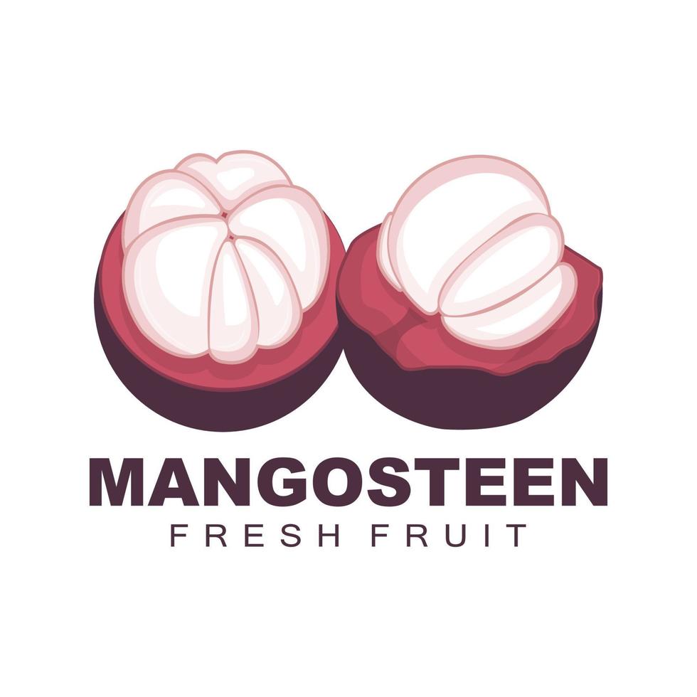 logo de mangoustan, illustration de chair de mangoustan, reine des fruits riches en vitamines, conception de modèle d'étiquette vectorielle de logo de fruits vecteur