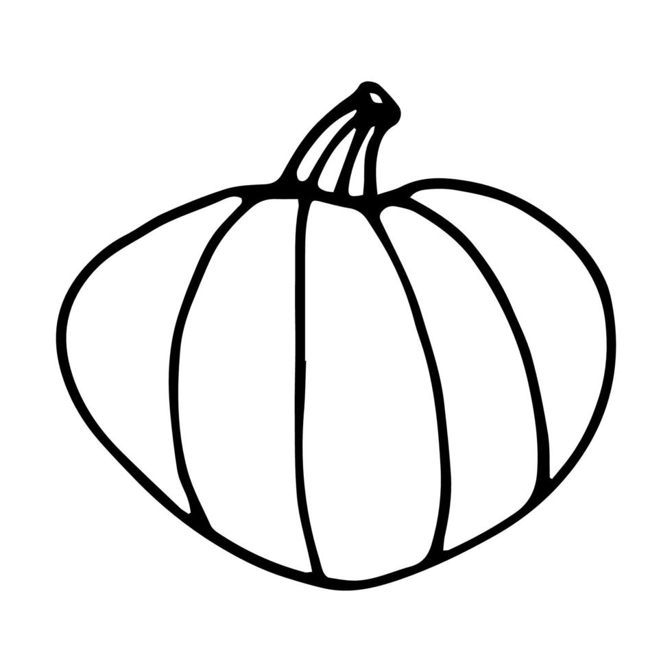 citrouille doodle style illustration vectorielle dessinés à la main isolé sur blanc vecteur