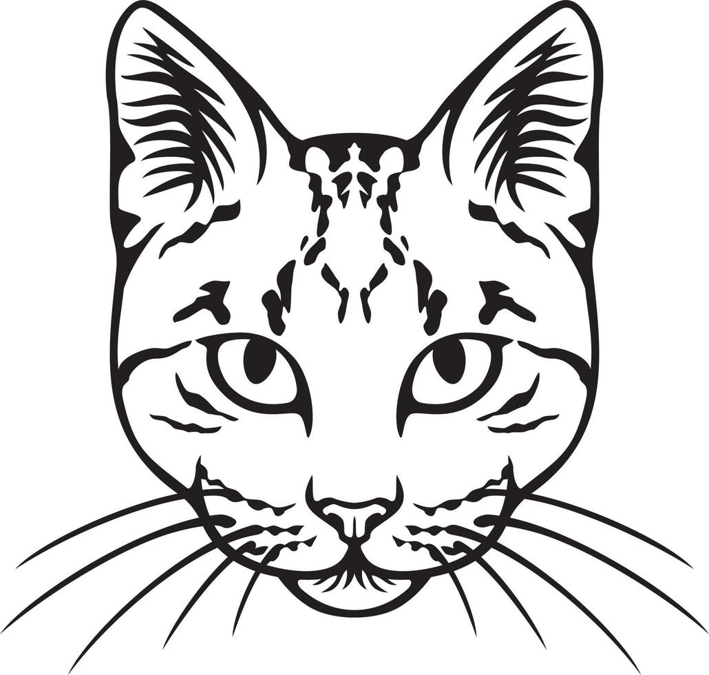 visage de chat noir et blanc. illustration vectorielle. vecteur