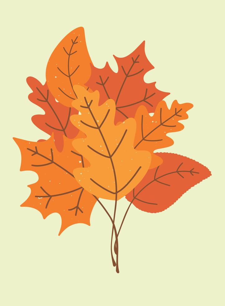 bouquet de feuilles d'automne tombées. feuilles de chêne et d'érable. illustration vectorielle saisonnière. vecteur