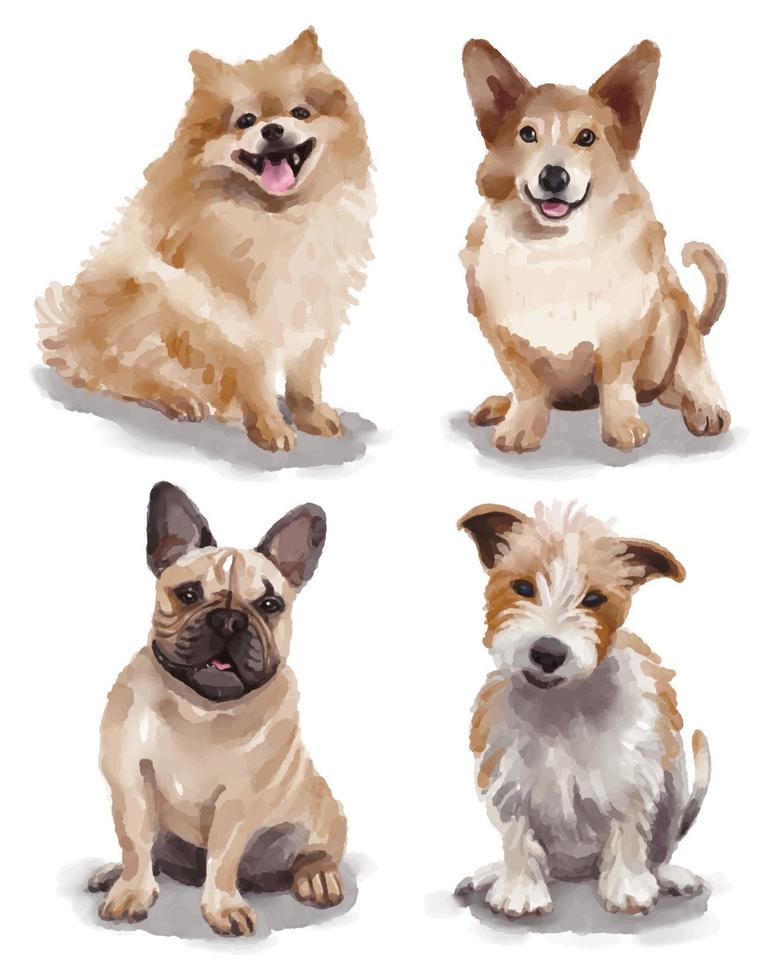 illustration à l'aquarelle avec différentes races de chiens - poméranien, corgi gallois, bouledogue français, russell terrier vecteur