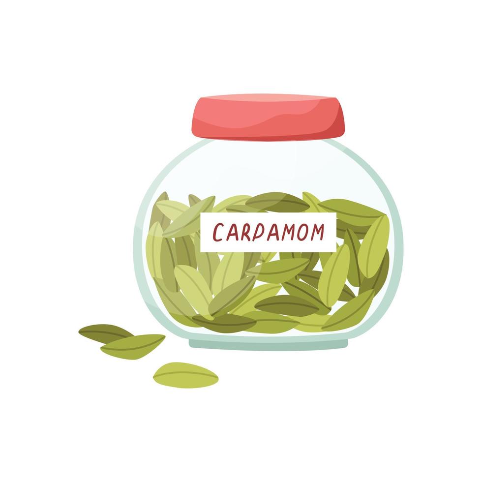 illustration vectorielle d'un bocal en verre avec de la cardamome. épices. vecteur