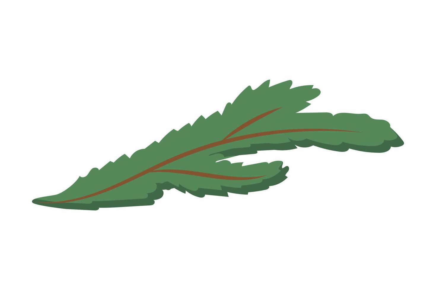 branche d'épinette verte simple. illustration vectorielle vecteur