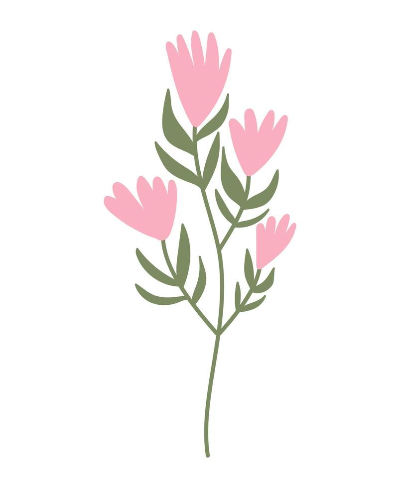 clipart floral à base de plantes dessiné à la main. vecteur de doodle de couleur.