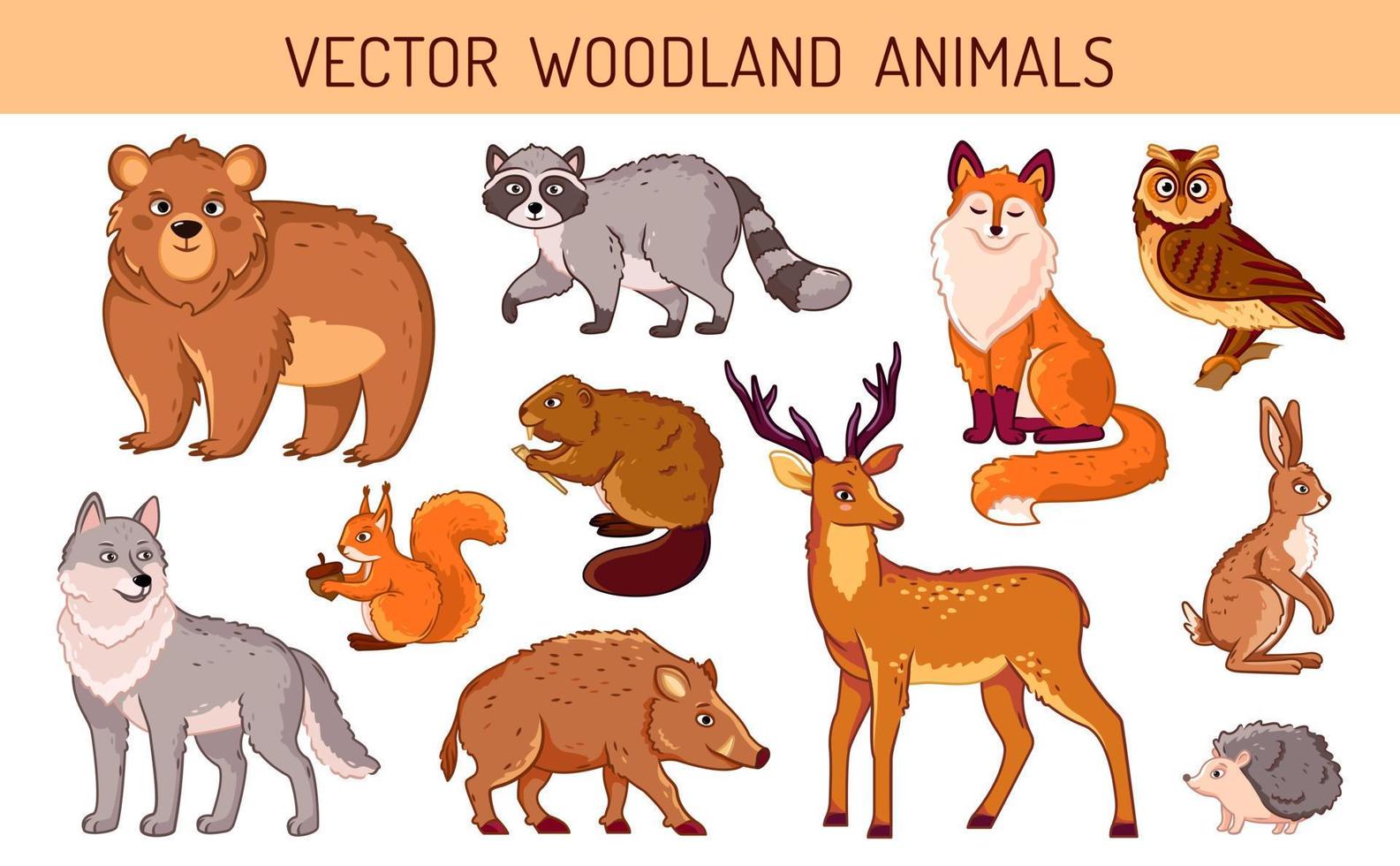 un ensemble d'animaux de la forêt sur un fond isolé. animaux brillants et mignons en vecteur de style dessin animé