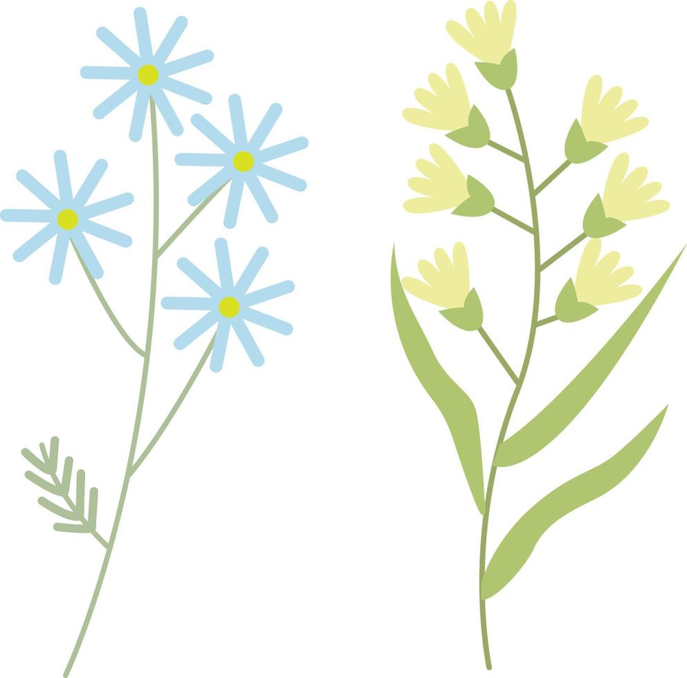 fleurs ensemble illustration vectorielle vecteur