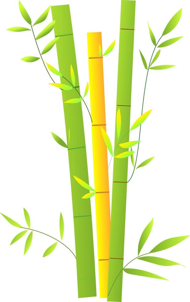 bambou décoratif dans le jardin, bambou d'intérieur pour illustration vectorielle de design d'intérieur, symbole de plante d'asie vecteur