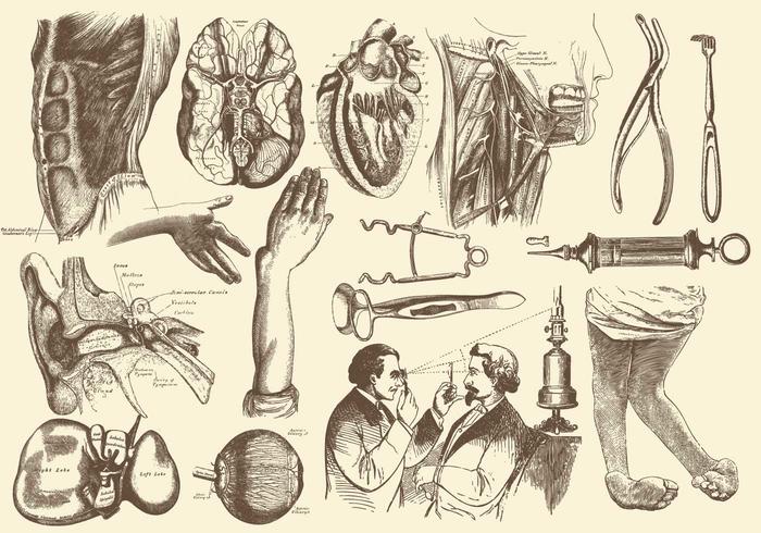 Sepia Anatomy and Health Care Illustrations vecteur