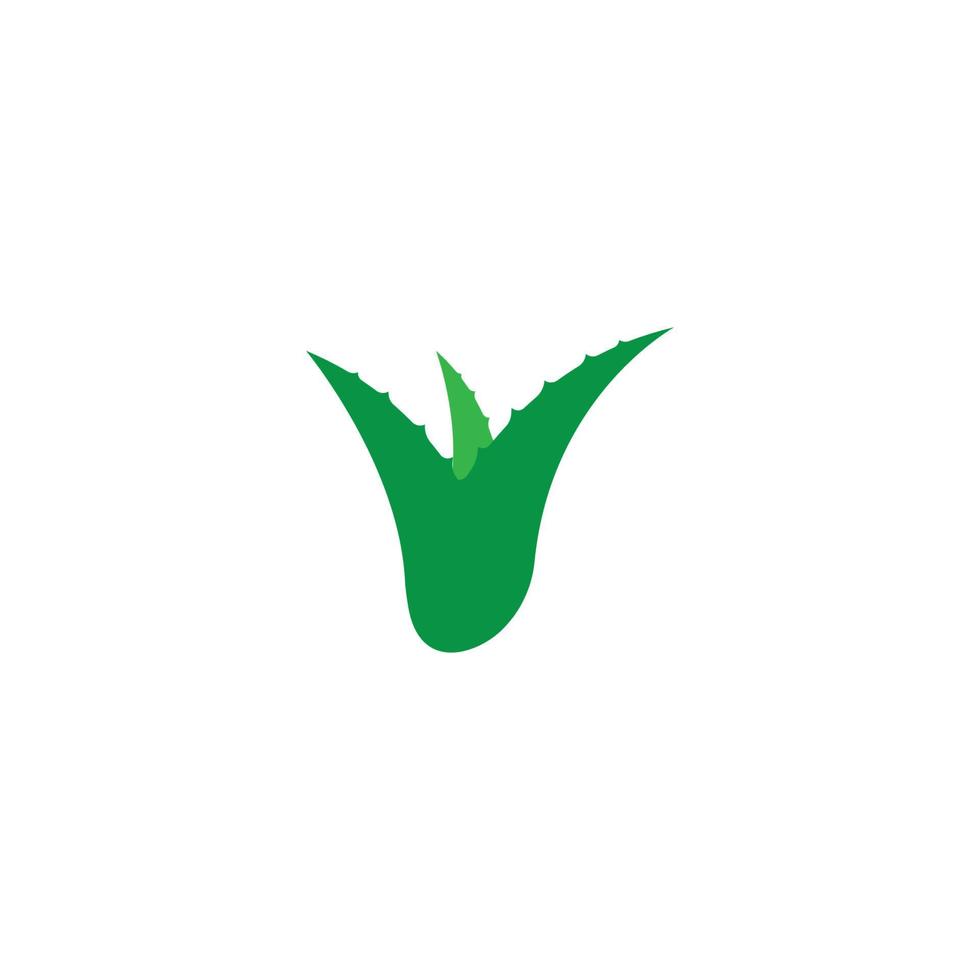 logo d'aloe vera vecteur