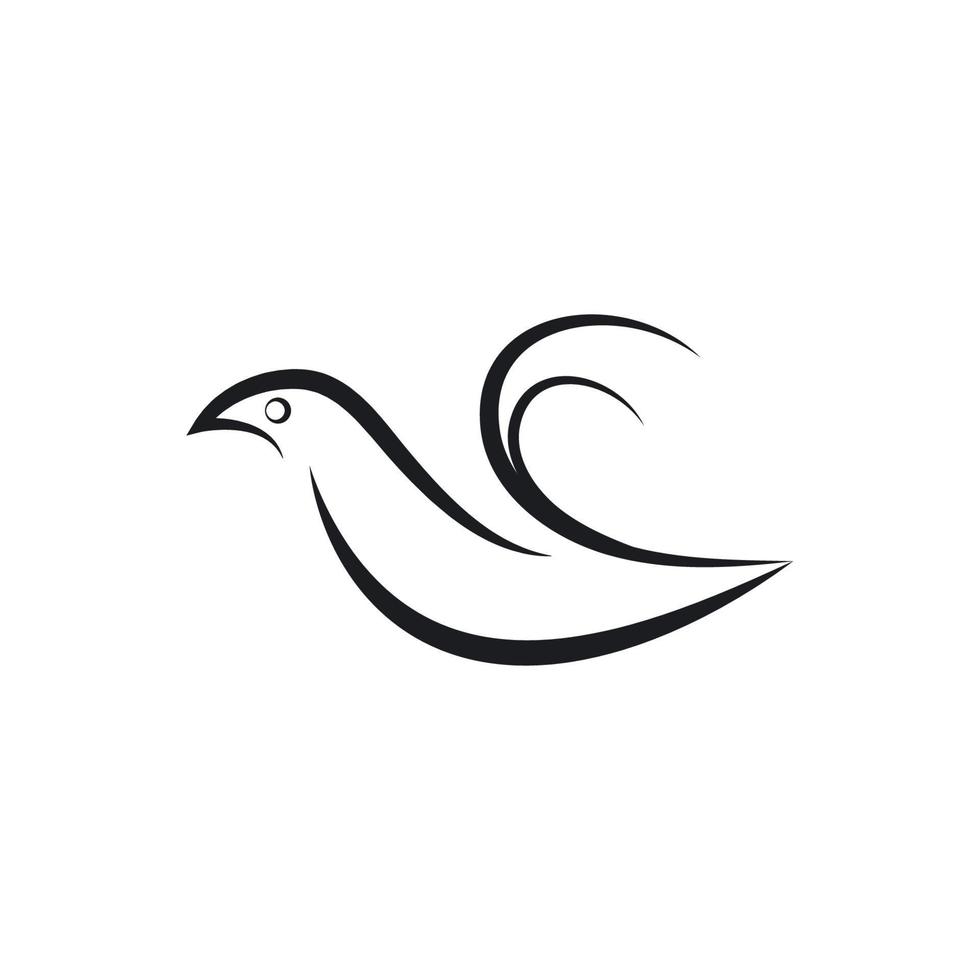 logo colombe aile d'oiseau vecteur