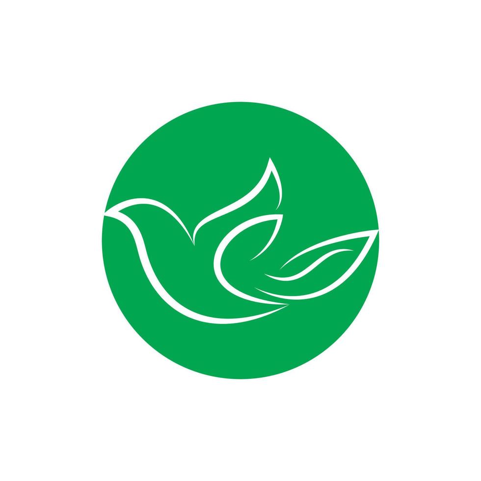 logo colombe aile d'oiseau vecteur