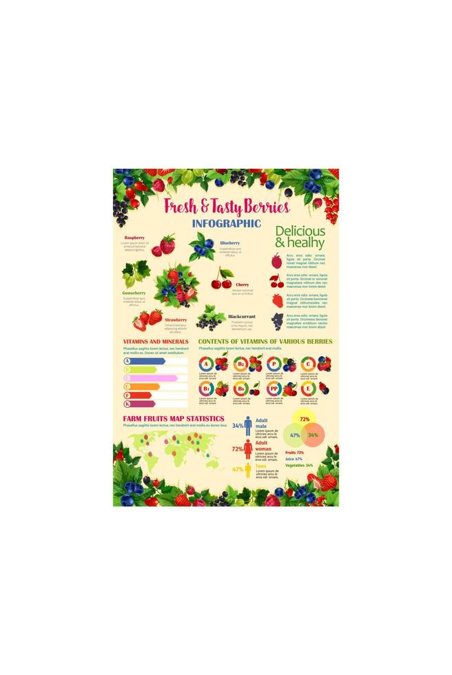 modèle d'infographie vectorielle pour les baies fraîches vecteur
