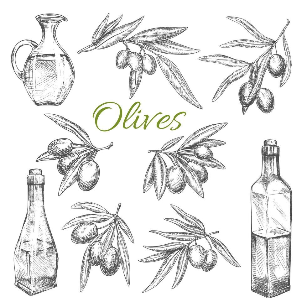 icônes de croquis de vecteur d'olives de produit d'huile d'olive