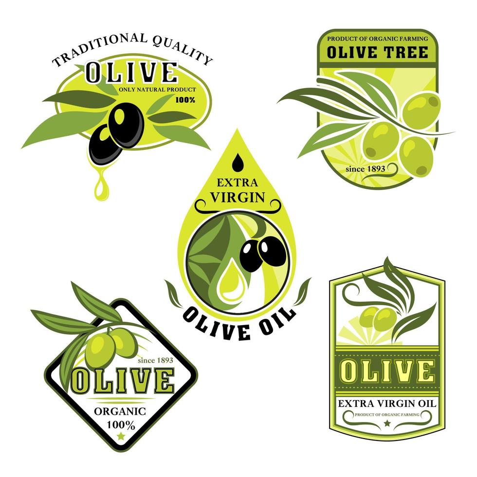 icônes vectorielles d'olives et d'huile d'olive italienne vecteur